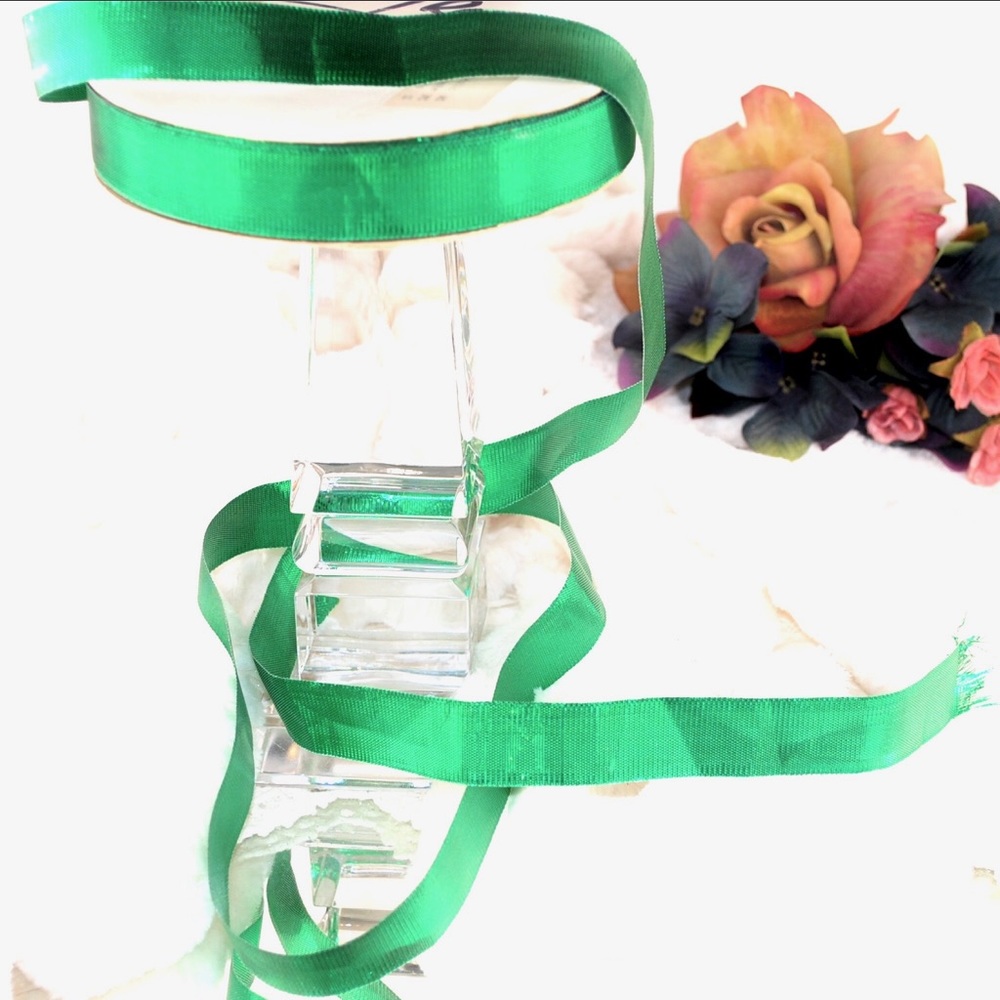 NWT Green ribbon